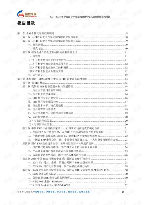 2021 2025年中國云erp行業(yè)調(diào)研及個性化定制戰(zhàn)略咨詢報(bào)告.pdf